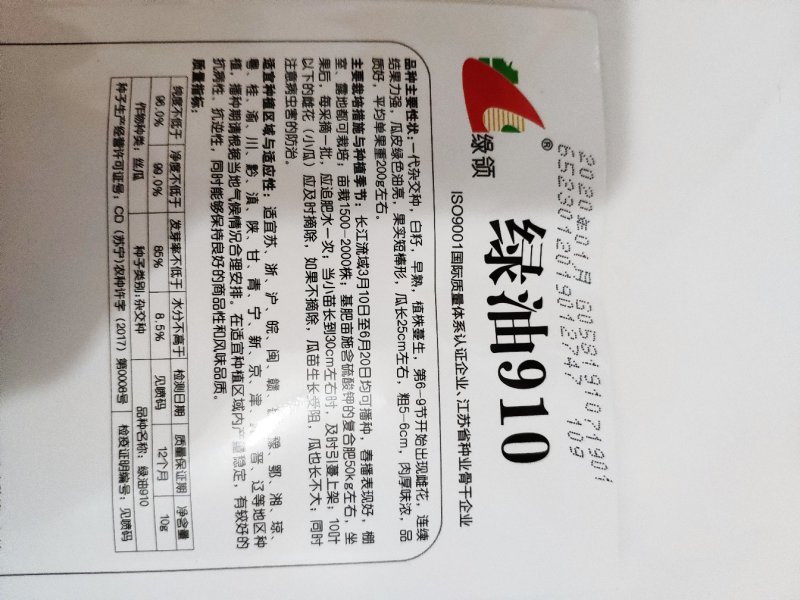 绿油2号短油皮丝瓜种籽白籽丝瓜种10克
