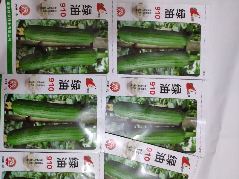 绿油2号短油皮丝瓜种籽白籽丝瓜种10克