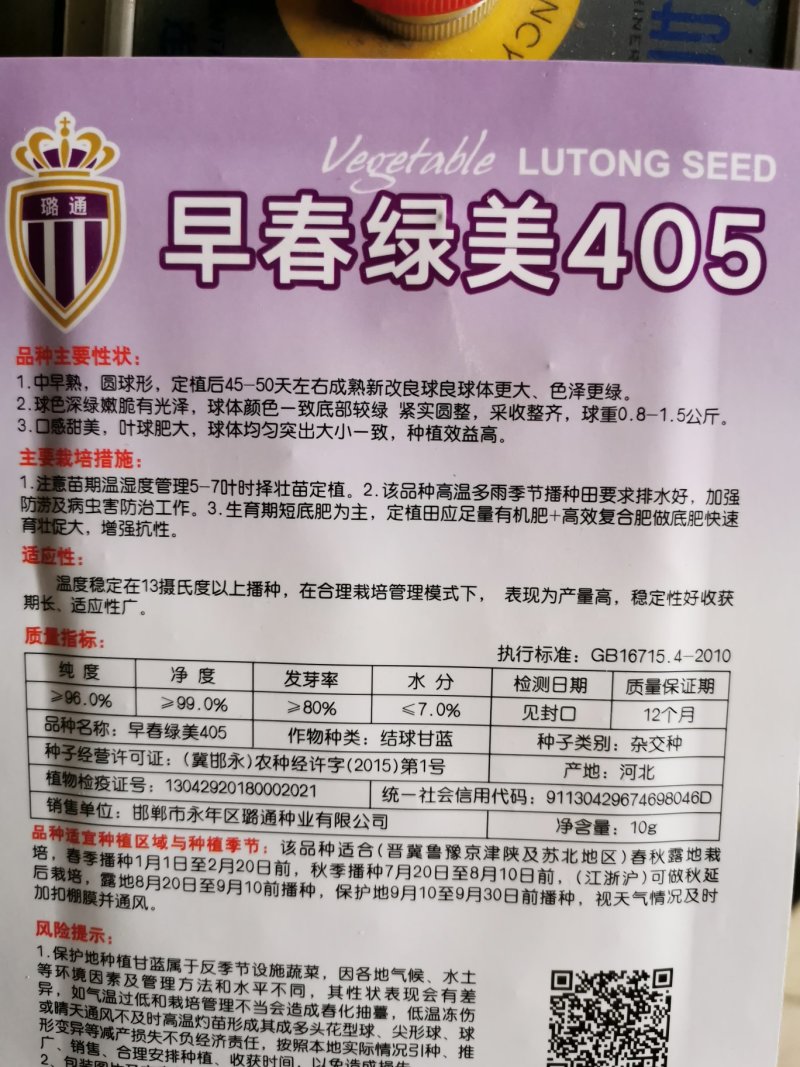 早春绿美405绿甘蓝种子菜园基地绿甘种子10克装