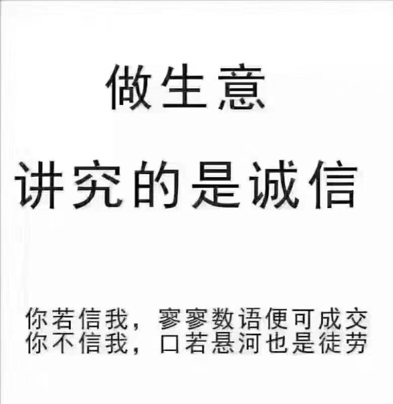 【产地热销】大统货猪苓，优质猪苓秦岭高山原生态栽培。