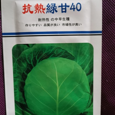 抗热绿甘40绿甘蓝种子10克装抗病高产农田菜园基