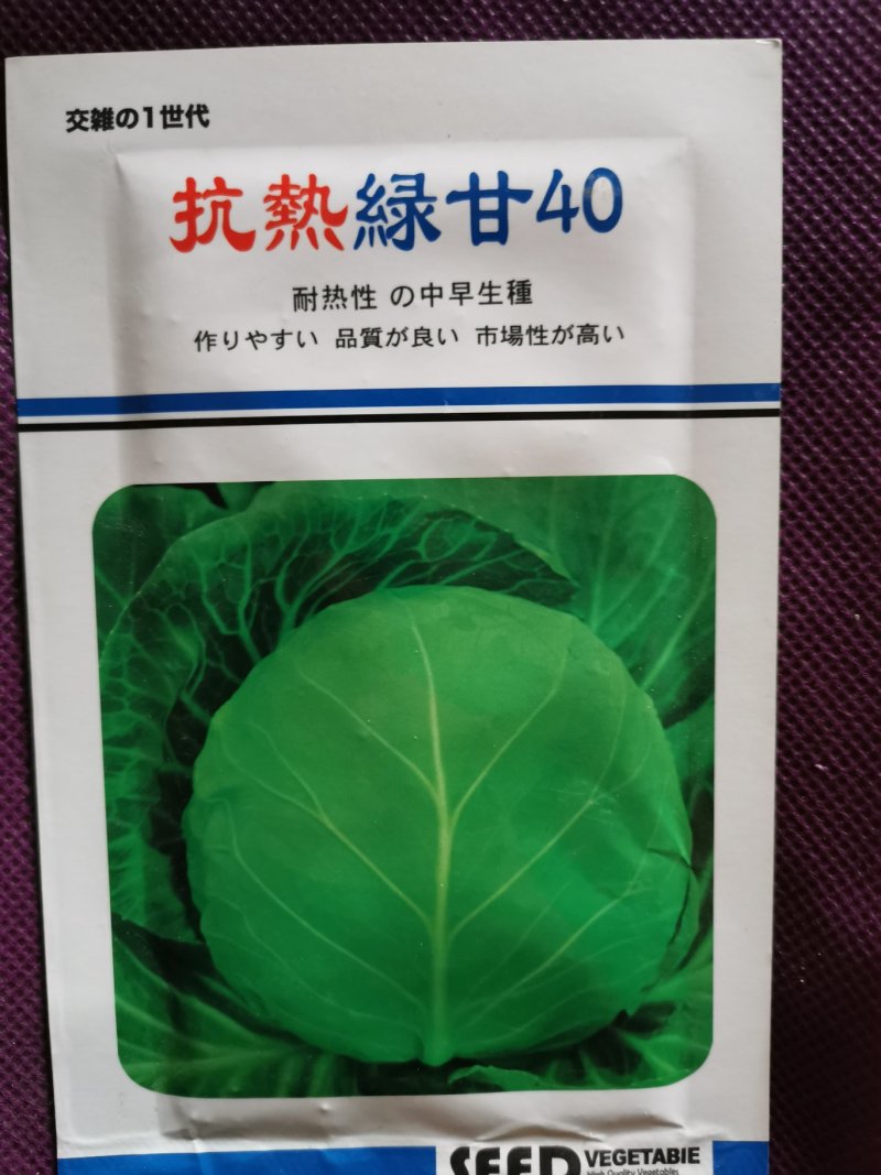 抗热绿甘40绿甘蓝种子10克装抗病高产农田菜园基