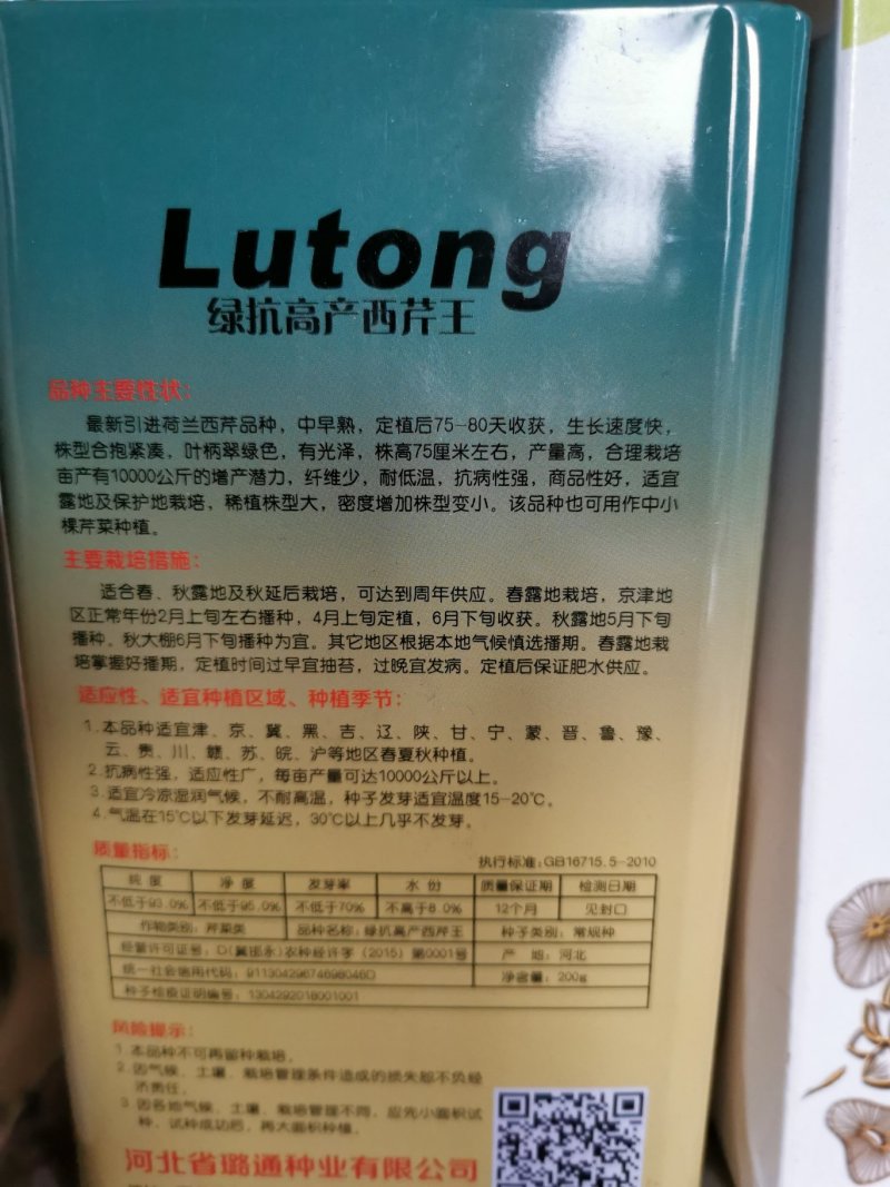 绿抗高产西芹生长旺盛植株高大整齐一致抗病性强