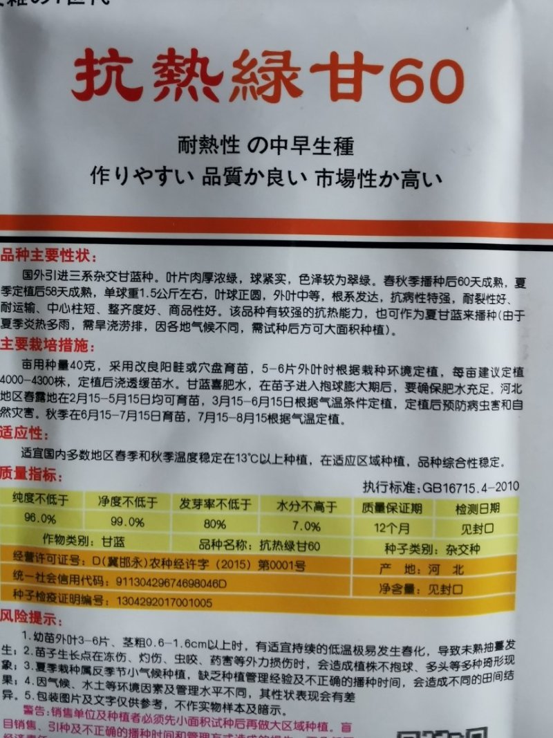 抗热绿甘60甘蓝种子10克农田菜园基地好抗病产量高耐