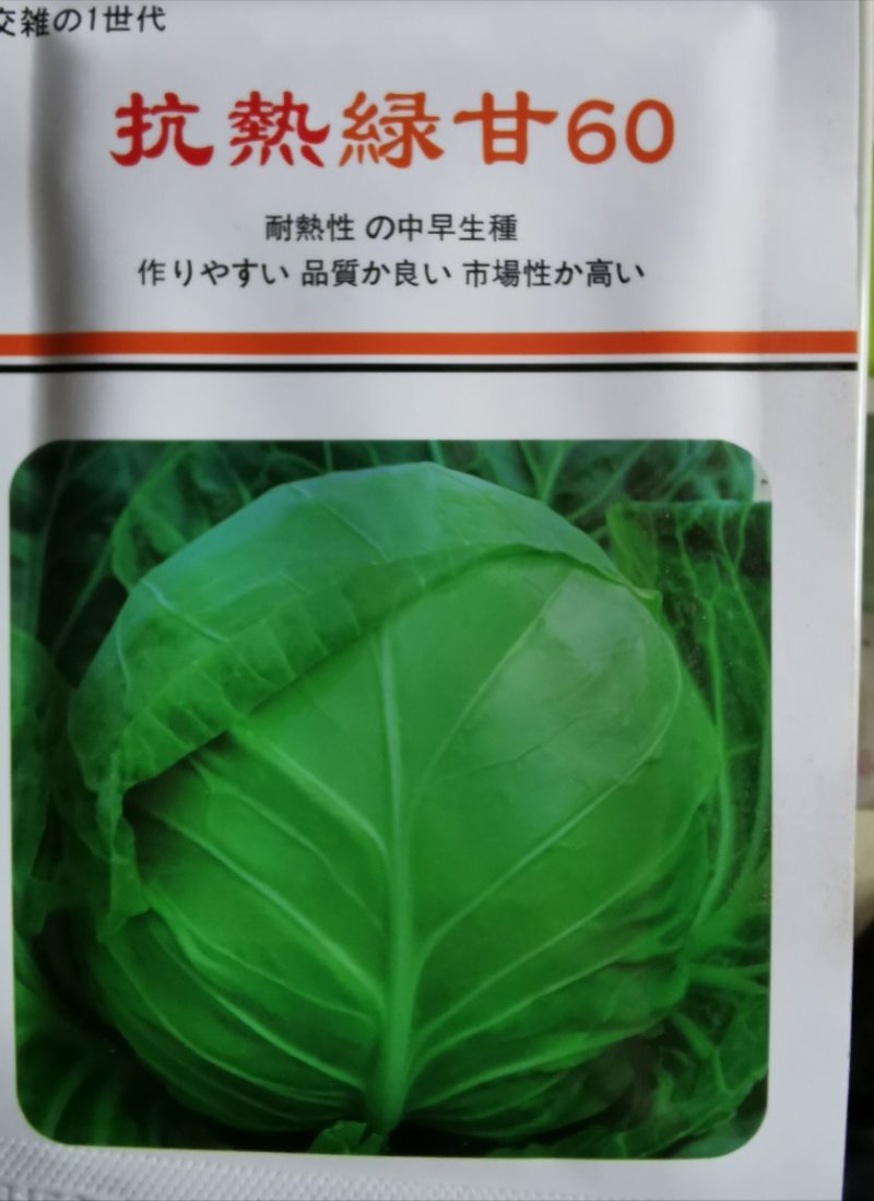抗热绿甘60甘蓝种子10克农田菜园基地好抗病产量高耐