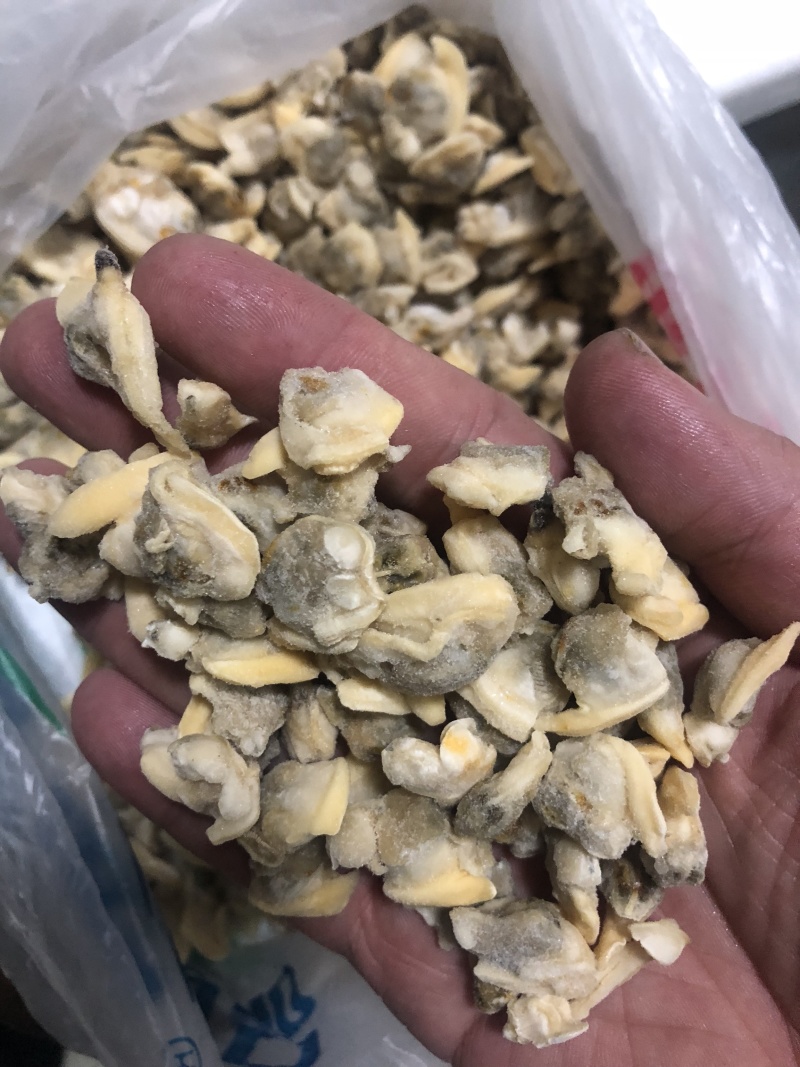 花蛤肉碎肉无沙干冰原汁原味有视频实拍
