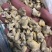 花蛤肉碎肉无沙干冰原汁原味有视频实拍