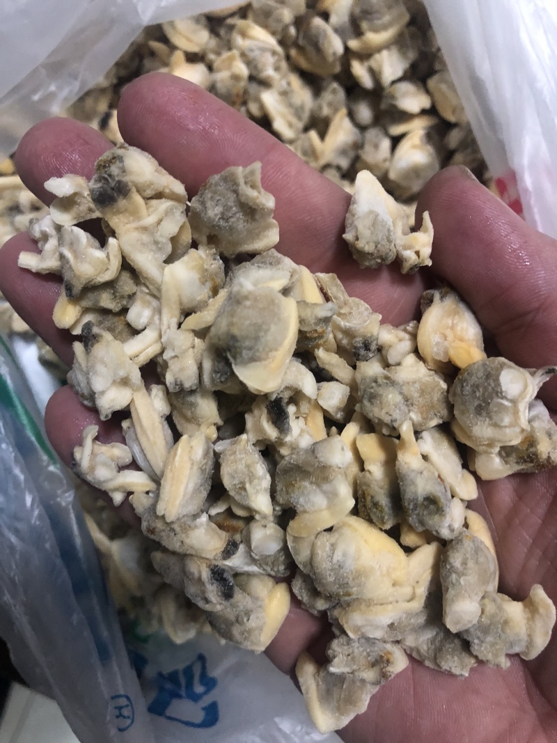 花蛤肉碎肉无沙干冰原汁原味有视频实拍