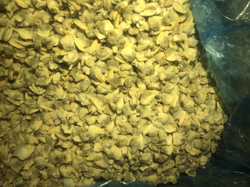 花蛤肉碎肉无沙干冰原汁原味有视频实拍