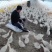 【热卖中】优质大种白鹅苗防疫齐全送货上门