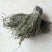 独角金独脚柑独脚金鸡包邮无硫净货保正品批发零售冷背中药材