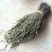 独角金独脚柑独脚金鸡包邮无硫净货保正品批发零售冷背中药材