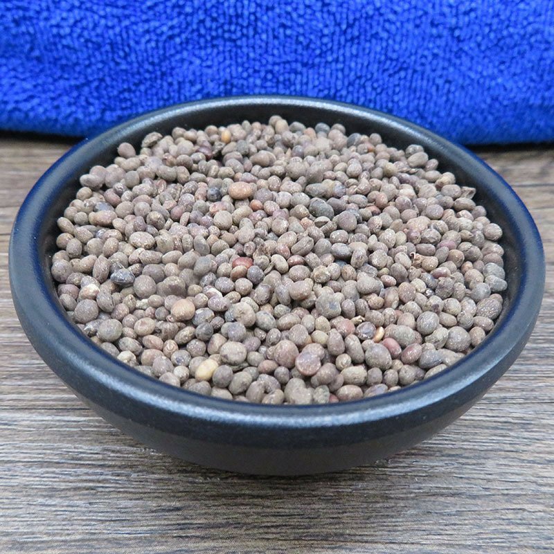 急性子凤仙花子指甲花子无硫净货保正品批发零售各种中药材