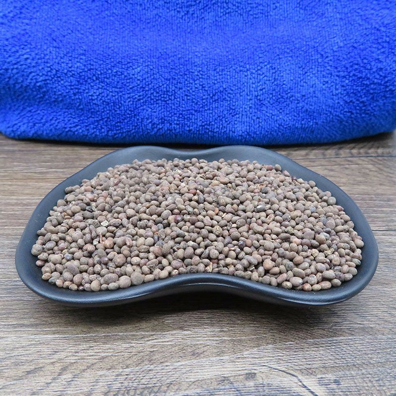 急性子凤仙花子指甲花子无硫净货保正品批发零售各种中药材