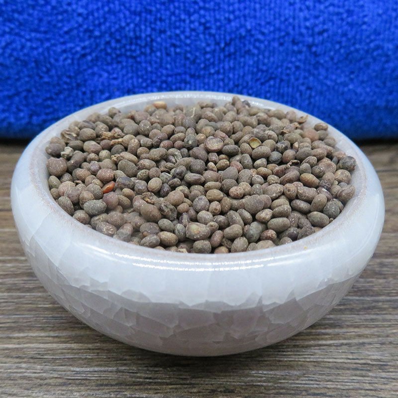 急性子凤仙花子指甲花子无硫净货保正品批发零售各种中药材