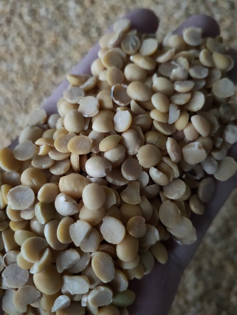 豆瓣