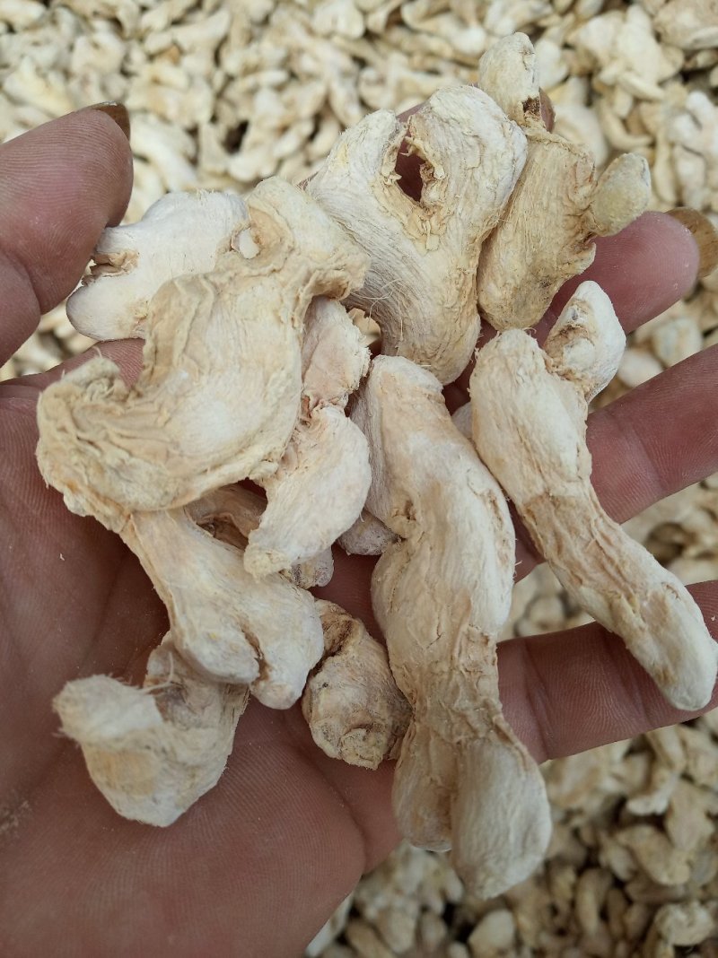 云南小黄姜，干姜，姜片