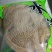 水牛大叶片可贴牌（10件起售足秤足量）
