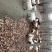 全山地放养，没有喂任何饲料，各种规格都有