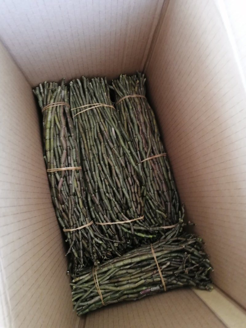金福堂铁皮石斛精品鲜长条，一手货源，货源稳定，批发