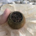 广东普洱小青柑（陈香型）