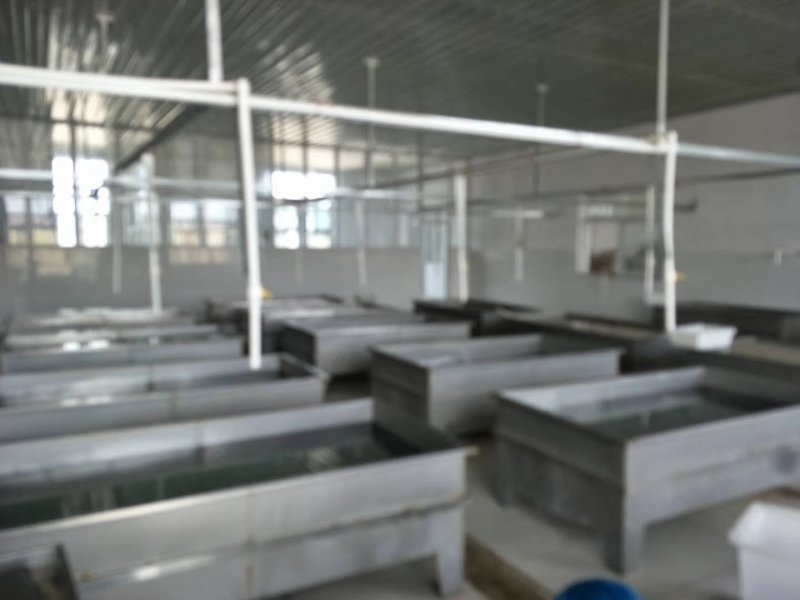 海蜇即食海蜇工厂直销，三证齐全，电商团购爆品。