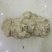 姜石料姜石无硫净货保正品量大私聊