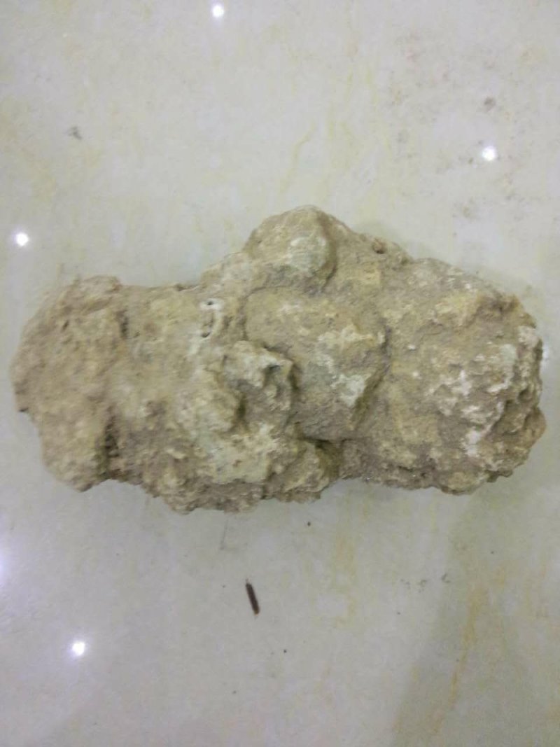 姜石料姜石无硫净货保正品量大私聊