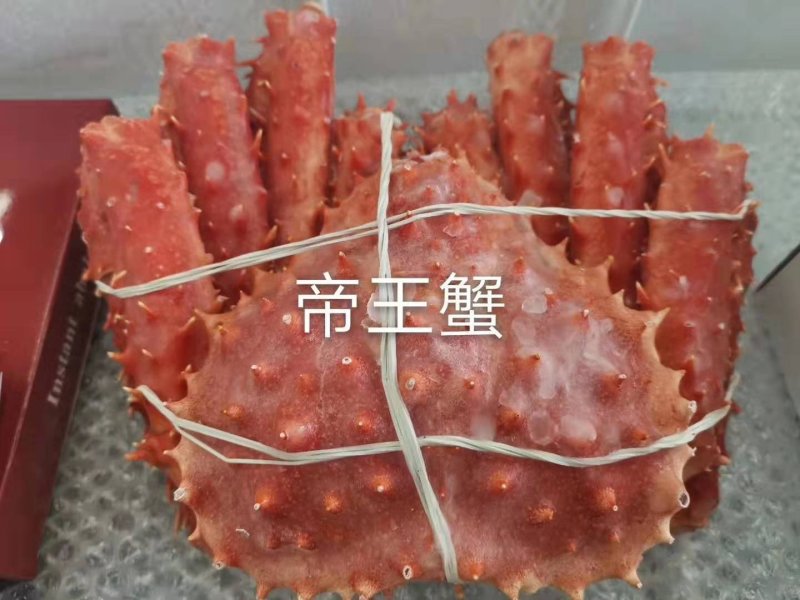 辽宁东港新鲜加工的帝王蟹