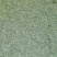 日照绿茶红茶