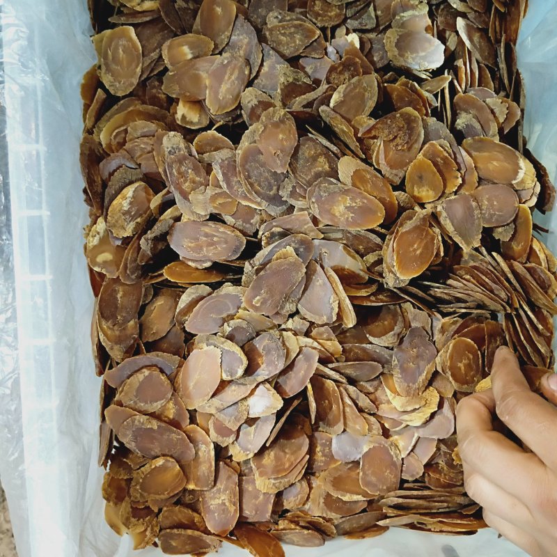 一件代发无糖红参片，包含量，片片带纹，特价二等片