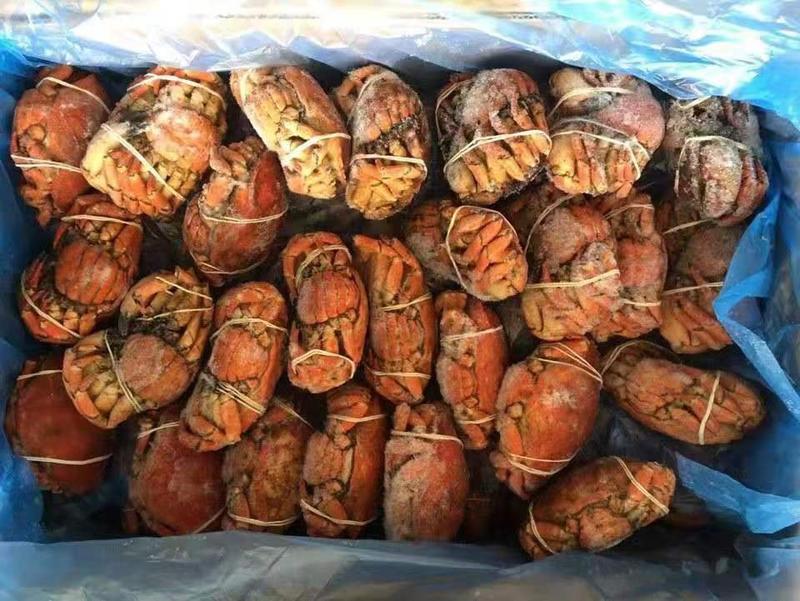 智利进口面包蟹，一手货源