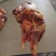 马肉