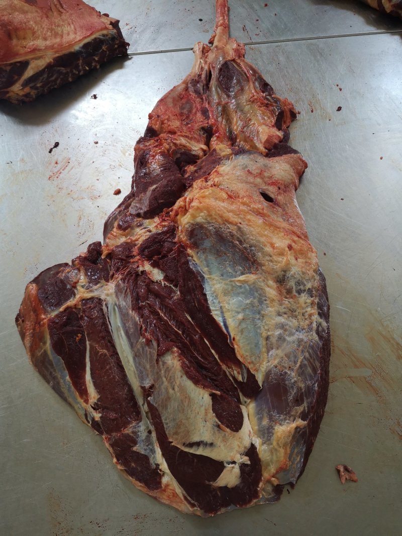 马肉