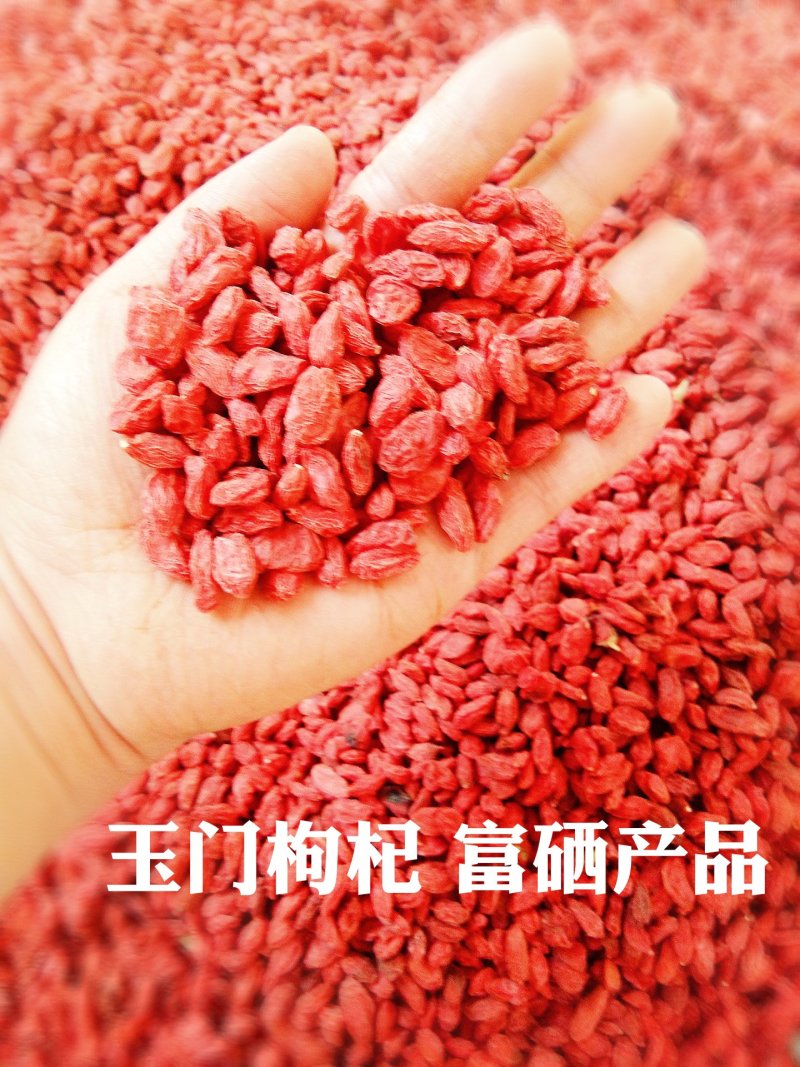 红枸杞甘肃玉门小金湾特产精品红枸杞全国发货玉门枸杞产地