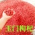 红枸杞甘肃玉门小金湾特产精品红枸杞全国发货玉门枸杞产地