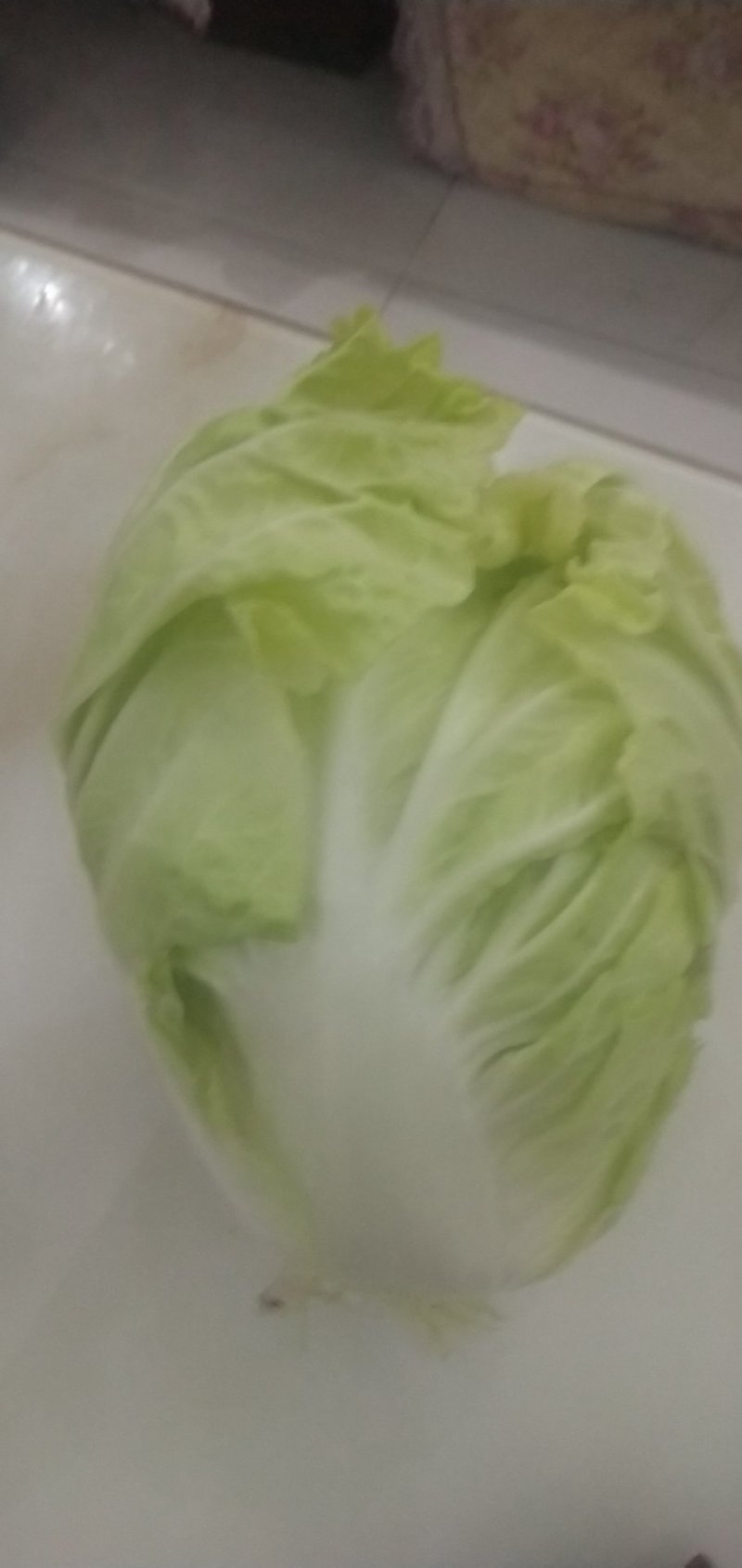 大棚德高16白菜涮锅转用