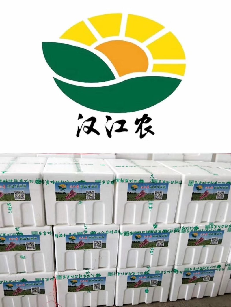 红菜苔，口感甜嫰，颜色红-