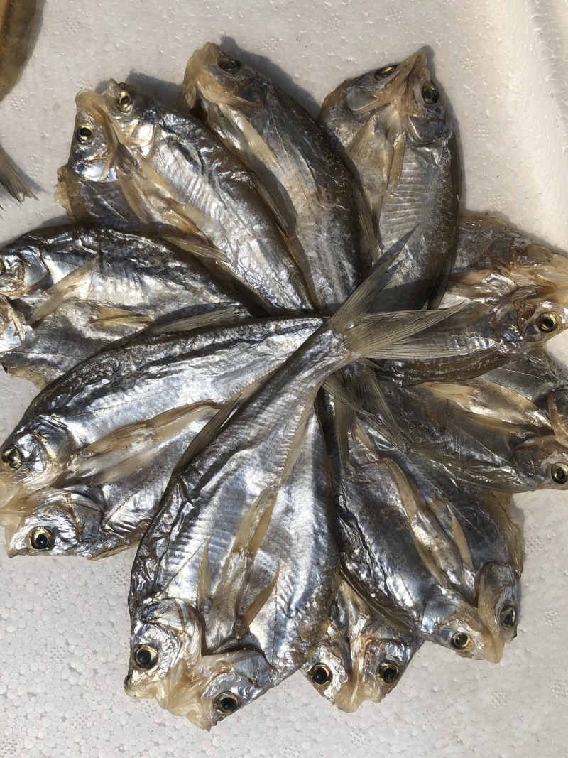 湖之味定制风味大白刁刁子鱼鳡鱼红尾鱼现货销售