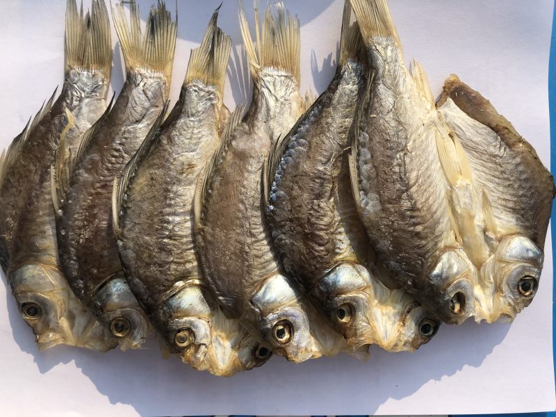 湖之味定制风味大白刁刁子鱼鳡鱼红尾鱼现货销售