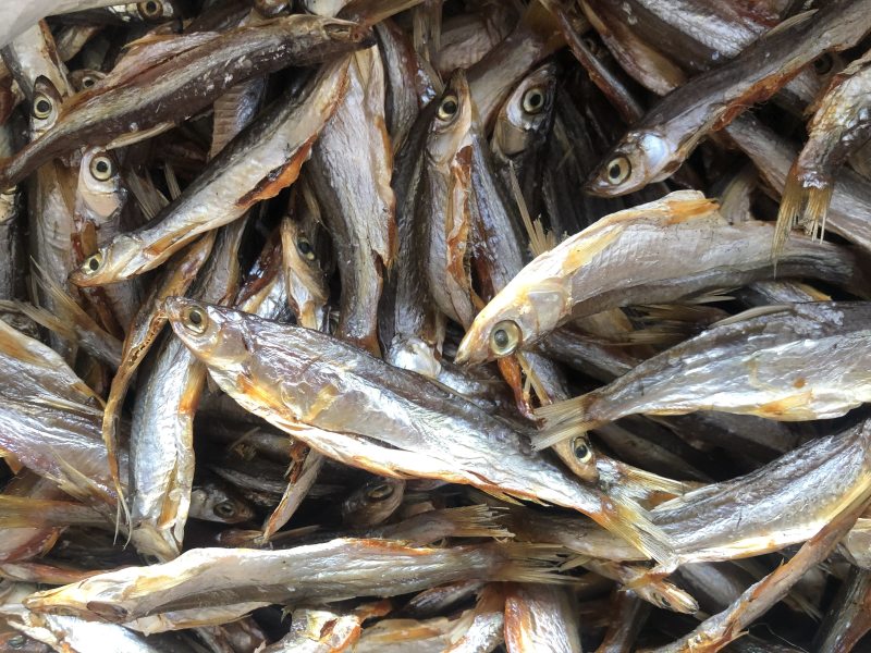 湖之味定制风味大白刁刁子鱼鳡鱼红尾鱼现货销售