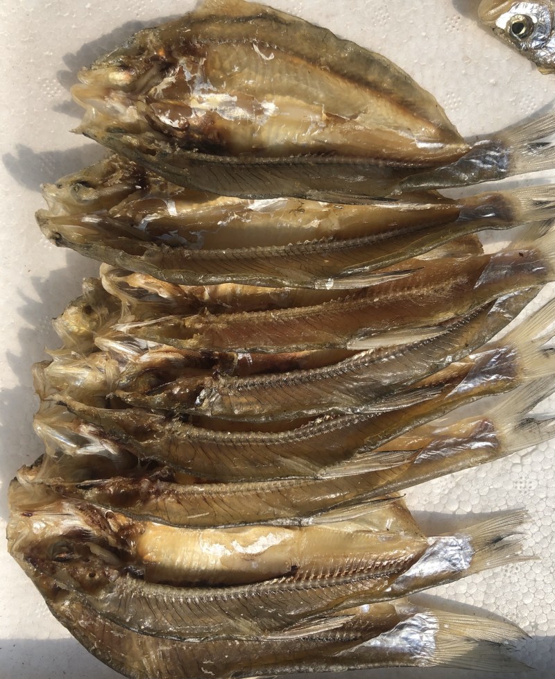湖之味定制风味大白刁刁子鱼鳡鱼红尾鱼现货销售