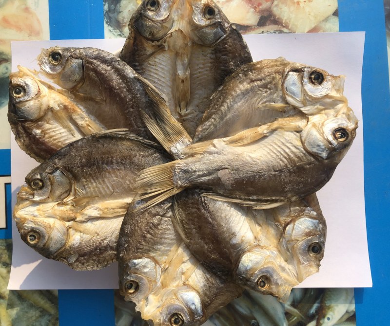 湖之味定制风味风干手撕鲫鱼、饭蒸鱼、刁子鱼，红尾鱼、鱼块