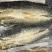 湖之味定制风味风干手撕鲫鱼、饭蒸鱼、刁子鱼，红尾鱼、鱼块