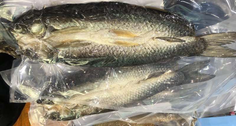 湖之味定制风味风干手撕鲫鱼、饭蒸鱼、刁子鱼，红尾鱼、鱼块