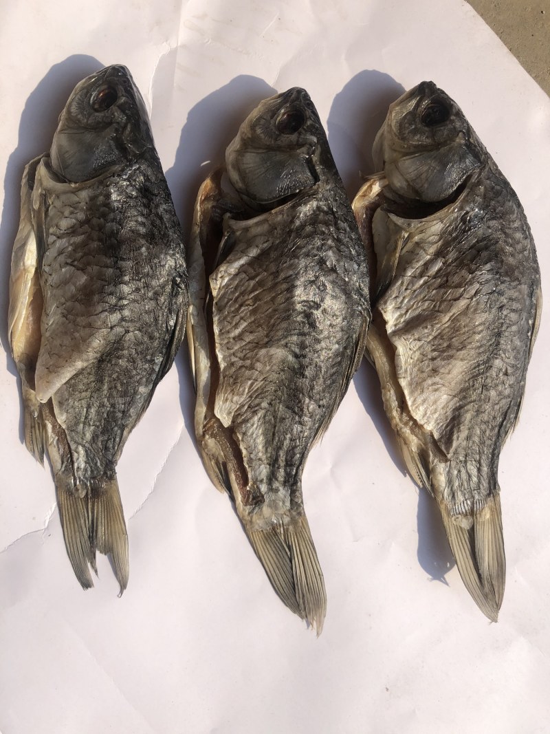 湖之味定制风味风干手撕鲫鱼、饭蒸鱼、刁子鱼，红尾鱼、鱼块