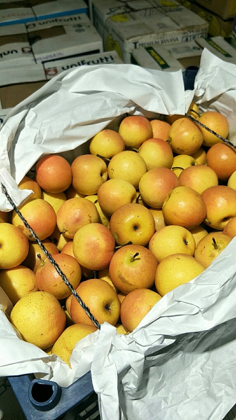 南果梨