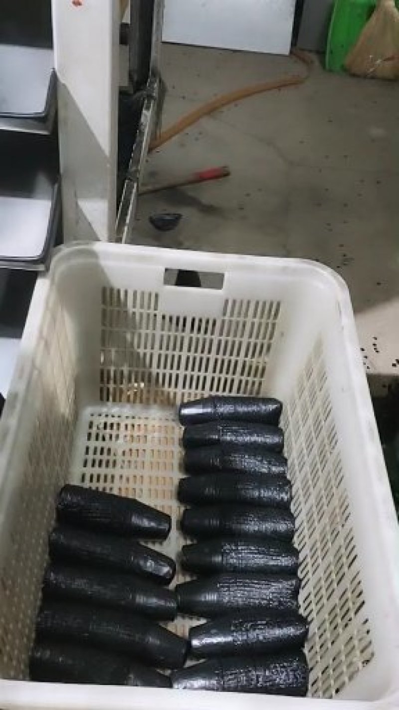 营养杯，育苗杯，黑色软花盆，全自动流水线