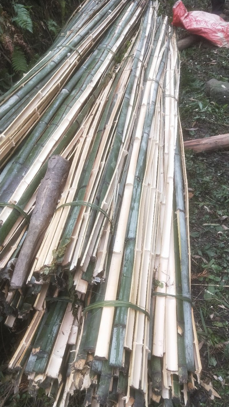 金竹，定制各种各样金竹，金竹片