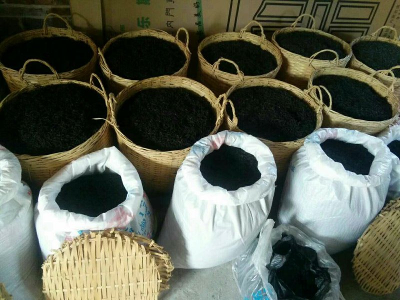 出售六堡茶、茶叶
